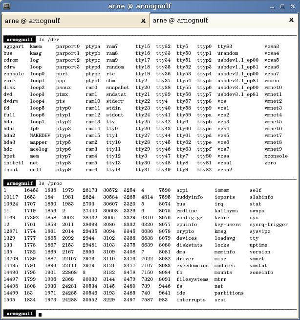 the prompt and (messy) listing of proc and /dev