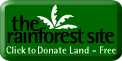 Help to save the RAINFOREST