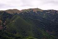 Looking towards the top of Loma Alta, my destination